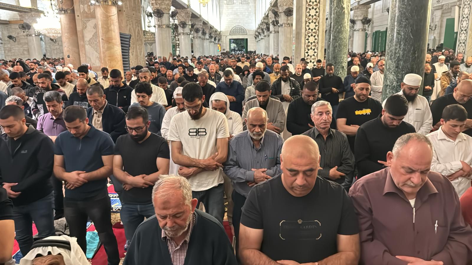 WhatsApp Image 2024-04-06 at 7.53.21 AM.jpeg